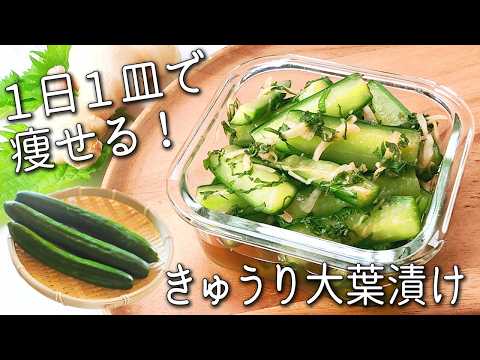【きゅうり 大葉】切って漬けるだけ! 秒で消える☆ きゅうりと大葉の簡単レシピ! きゅうり大葉 漬け 作り置き副菜 ダイエット アレンジも紹介