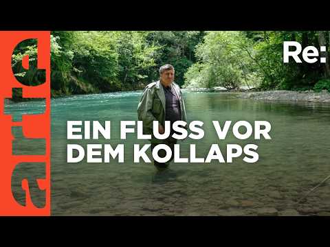 Ein Wildfluss vor dem Kollaps | ARTE Re: