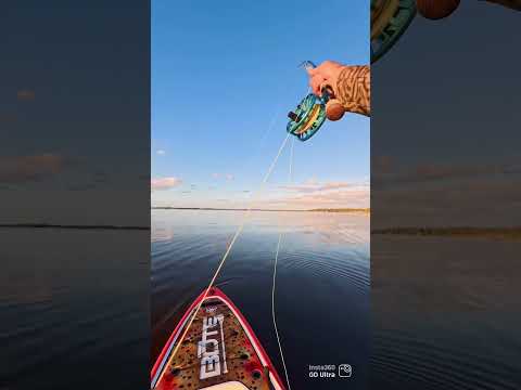 Fall fish! #flyfishing #insta360 #insta360goultra @choonaclothing @insta360