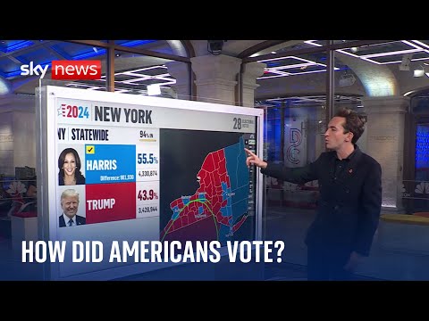 In-depth: How did America vote?