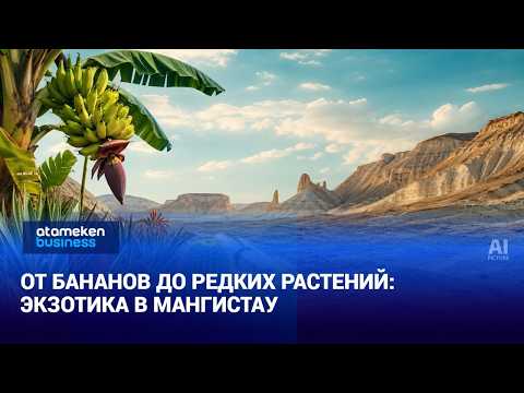 В Мангистау выращивают экзотические растения