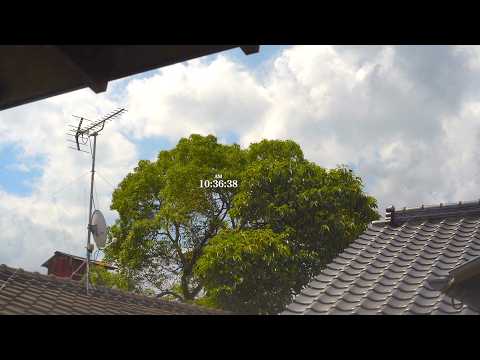 【定点カメラ】7/8(水) 旅館の窓辺で空を眺める