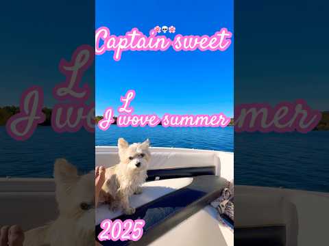 You see My Smile Not My Heart 💛💛💛 #boating with captain sweet 💛 #puppy #puppies #yorkie