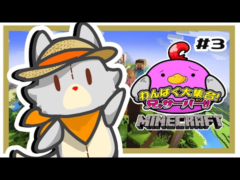 thumbnail_yoCraNPNNdQ