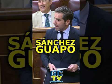 Excusas, envidian a Sánchez porque es guapo Borja Sémper #pp #vox #psoe #sumar #podemos