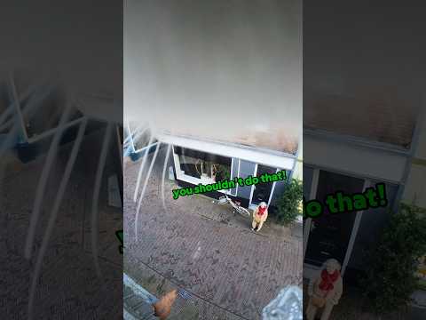 This Lady Saw Ros on the Rooftops 🤣