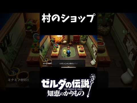 【ゼルダの伝説 知恵のかりもの】村のショップ