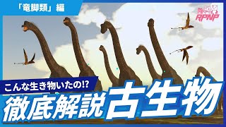 【古生物学】RPNP古生物学ニュース「巨大恐竜・竜脚類の秘密！進化と生態を徹底解説」#恐竜 #化石 #解説