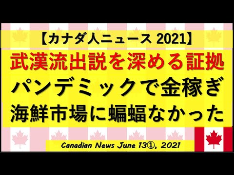 研究所流出説を深める証拠　パンデミックで金稼ぎ　海鮮市場にコウモリはいなかった