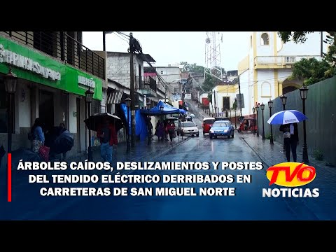 Árboles caídos y postes del tendido eléctrico derribados en carreteras, de San Miguel Norte.