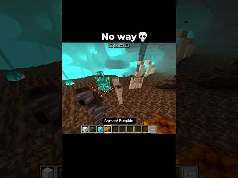 noooo #phonk #anhdangam #minecraft