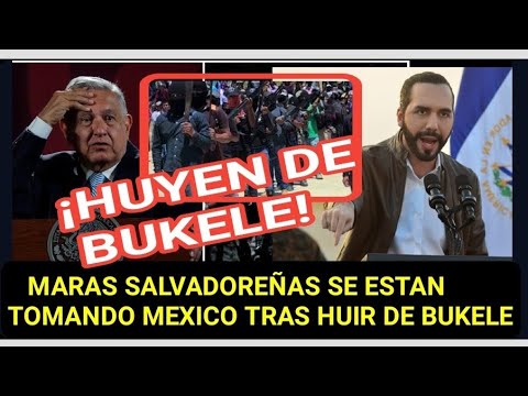 MEXICO ANUNCIA QUE LA MARA DE EL SALVADOR SE HA UNIDO A LA MARA DE MEXICO TRAS HGUIR DE NAYIB BUKELE