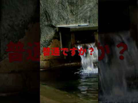 【映画紹介】メランコリック 苦悩の中でも見つける幸せとは。 #shorts #vtuber #新人vtuber #映画紹介 #アマプラ