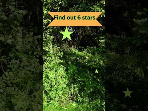 Find out the 6 green stars|#stars #fun #educationforkids #greenstars #learn #music #danceperformance