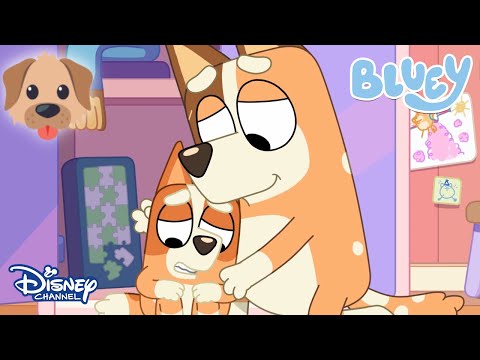 Bingo🐶 | Bluey | Disney Channel TR