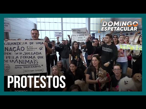 Morte do cãozinho Joca gera protestos em aeroportos pelo Brasil
