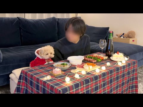 犬としか過ごさなくなった独身男のおうちクリスマス【トイプードル】