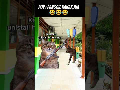 Pov : Jangan Panggil OM 😂 #meme #cat #kucing #animation #funny #fypシ
