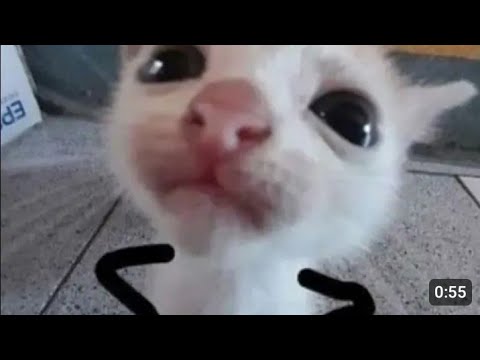 quer jogar comigo:3?