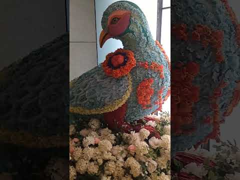 😱WOW Bird❤️#shorts#ytshorts#youtubeshorts#viral#reels#shortsfeed#india#song #explore#funny#trending