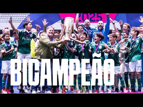 image para ilustrar o artigo