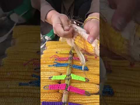 #foodproduction #amazingmachinery #automobile #foodbusiness #agriculture #farm #foodsector #farm