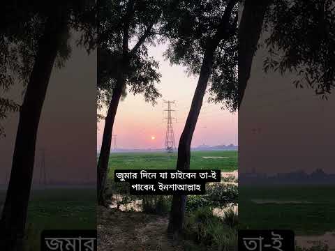 জুম্মার দিনের ফজিলত। #hadisbangla #waz #mizanur_rahman_azhari