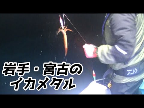 ゆるく釣ります！　その178 岩手　宮古のイカメタルに初挑戦！