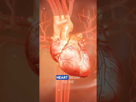 Recognizing a Heart Attack | 3D Animation