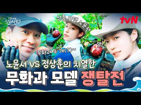 <strong>신흥</strong> 모델 노윤서 VS 원조 모델(?) 정상훈! 무화과 밭에서 펼쳐진 홍보 모델 쟁탈전🔥 #언니네산지직송3 EP.11 | tvN 261015 방송