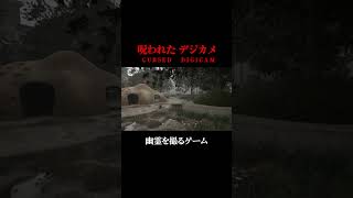 幽霊を撮るゲーム　#ホラゲー #チラズアート  #ゲーム実況