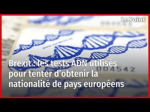 Brexit : les tests ADN utilisés pour tenter d’obtenir la nationalité de pays européens