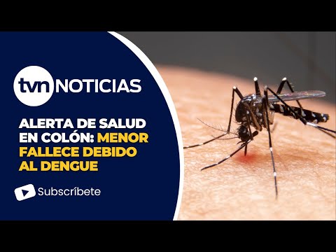 Niño de 14 años muere por dengue en Colón