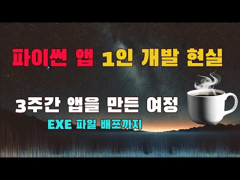 1인 개발자, 3주만에 앱 출시 후기