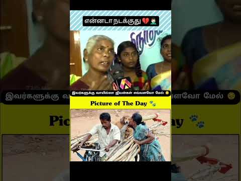 கேவலமான மனிதன்💔 #hoomans #dogcomedyvideo #instatrending #creatoryash #bigbang