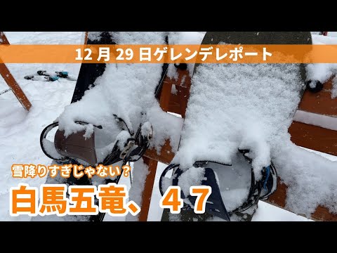 今年は雪がすごいよ！12月29日白馬五竜白馬47エリアレポート