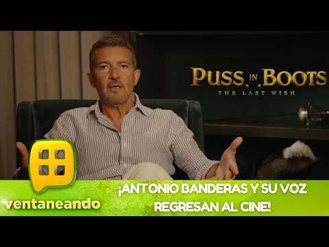 ¡Antonio Banderas y su voz regresan al doblaje! | Programa 24 de noviembre del 2022 | Ventaneando