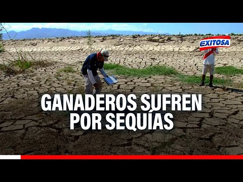 Puerto Maldonado: Ganaderos exigen plan de contingencia por sequías