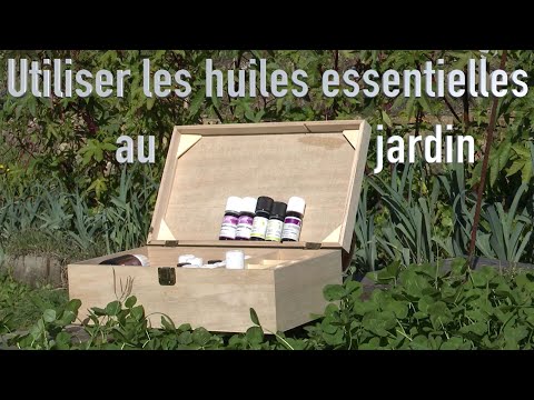 Utiliser 5 huiles essentielles pour protéger fruitiers et légumes