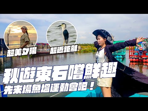 秋遊嘉義東石，賞鳥前先來場魚塭運動會吧！開箱海景第一排最美馬桶｜向禾休閒漁場、鰲鼓濕地、白水湖