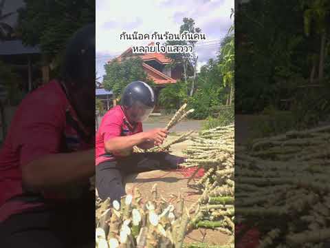 กันสลบได้!!-กันร้อนได้!!กันคนห กันสลบได้!!-กันร้อนได้!!กันคนห
