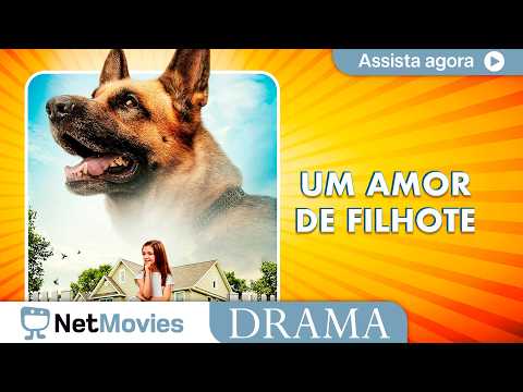 Um Amor de Filhote 🔹 Filme de Drama Completo 🔹 Filme Dublado GRÁTIS | NetMovies Drama