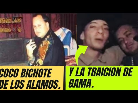 COCO BICHOTE DE LOS ALAMOS Y LA TRAICION DE GAMA