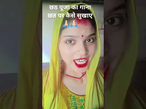 छठ पूजा का गेहूं सूखने का तरीका है यह