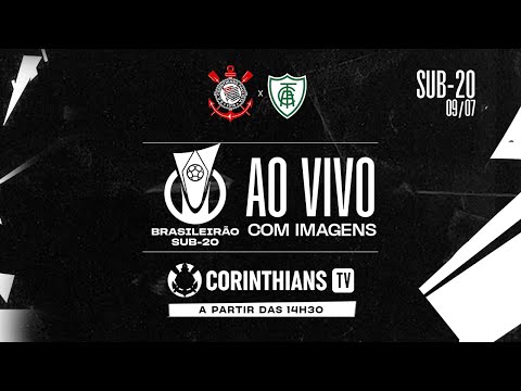 image para ilustrar o artigo