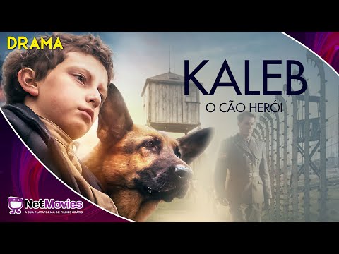 Kaleb: O Cão Herói (2020) - Filme Completo Dublado GRÁTIS - Filme de Drama | NetMovies