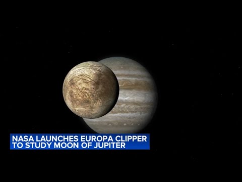 Europa Clipper launch sends vessel to look for signs of life on Jupiter's moon