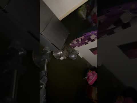 Home flood #flood #michaungcyclone #live #automobile #trending