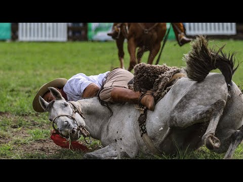 Muerte de caballo en Rural vuelve a abrir debate sobre jineteadas