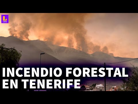 Tenerife en llamas: Incendio consume 800 hectáreas de isla